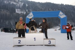 Lenk 2012 SM